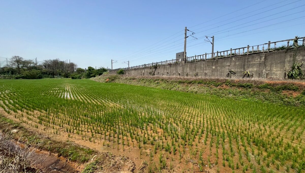 LINE_ALBUM_湖口交流道旁農地廠房_250509_1