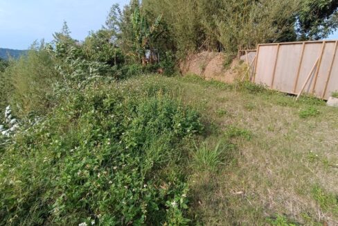 LINE_ALBUM_關西景觀小農地_250508_3