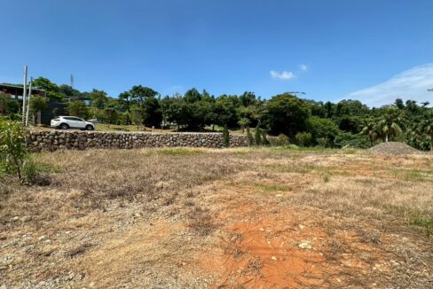 LINE_ALBUM_稀有帝王向丙建_250812_1