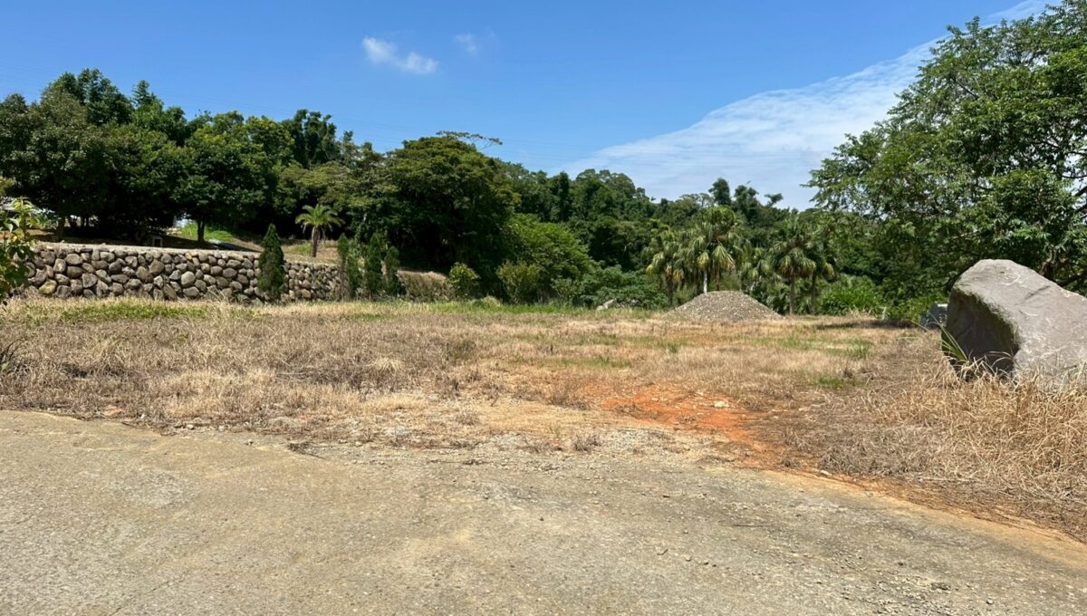 LINE_ALBUM_稀有帝王向丙建_250812_2