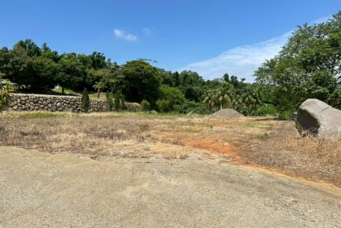 LINE_ALBUM_稀有帝王向丙建_250812_2