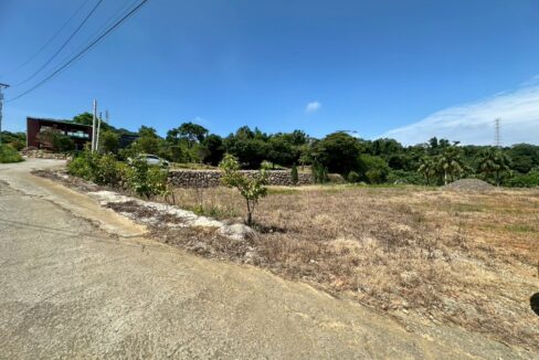 LINE_ALBUM_稀有帝王向丙建_250812_3