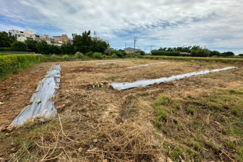 LINE_ALBUM_觀音419農地_250812_3