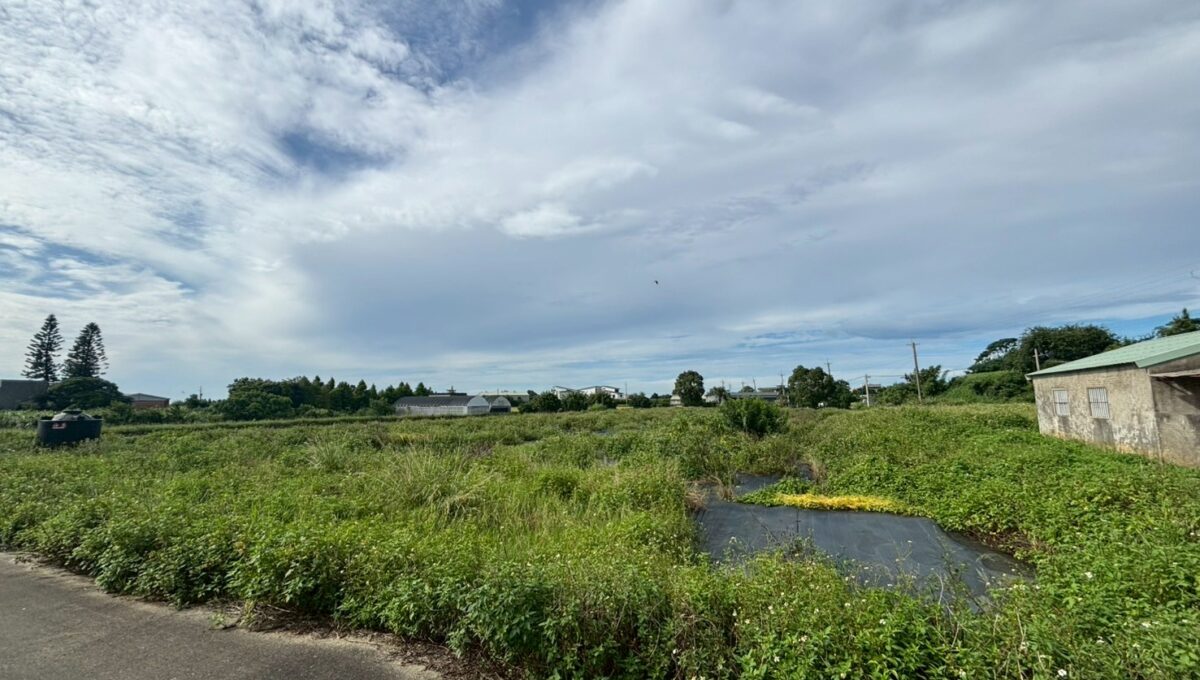 LINE_ALBUM_崁頭段方正農地（可分賣）_250912_1