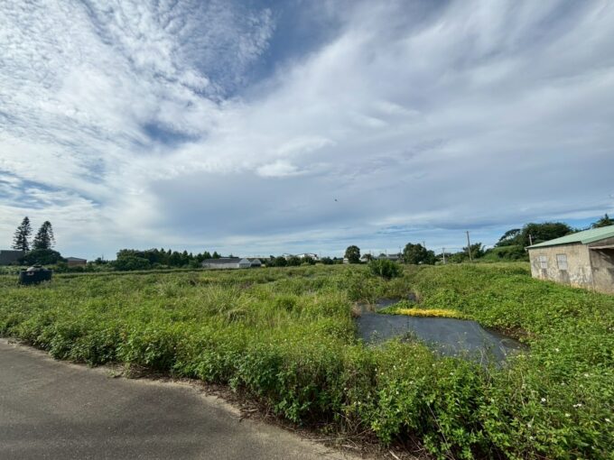 崁頭段方正農地(可分賣)