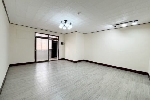 LINE_ALBUM_東區大坪數雙陽台華厦_250908_11