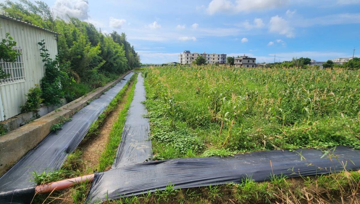 LINE_ALBUM_湖口市區旁合法資材室（A)_250916_1