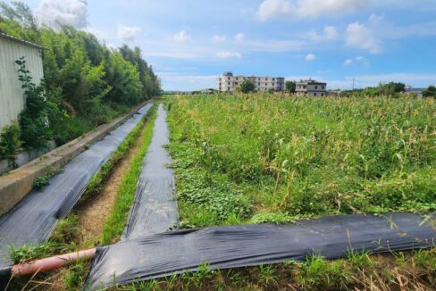 LINE_ALBUM_湖口市區旁合法資材室（A)_250916_1