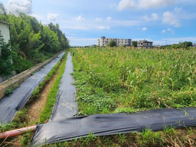 湖口市區旁合法資材室(A)