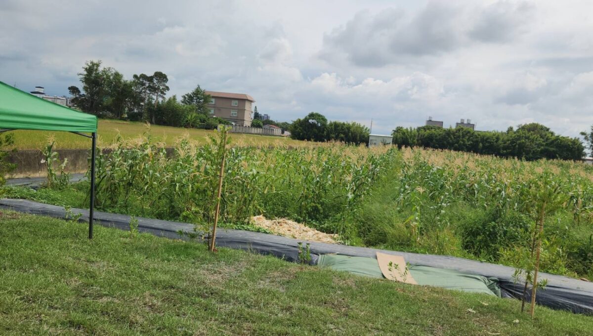 LINE_ALBUM_湖口市區旁合法資材室（A)_250916_2