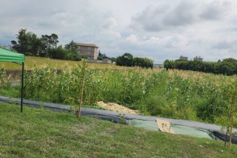 LINE_ALBUM_湖口市區旁合法資材室（A)_250916_2