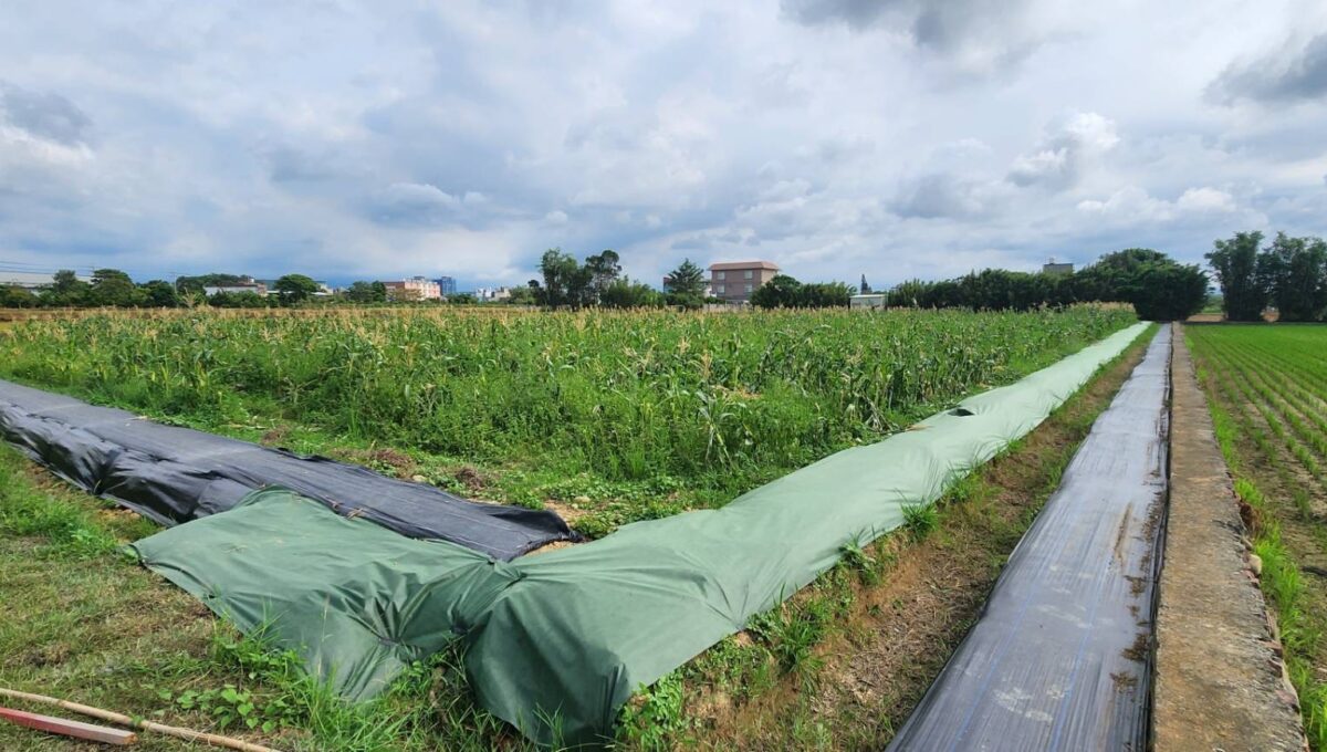 LINE_ALBUM_湖口市區旁合法資材室（B)_250916_1