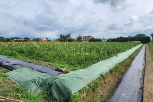 LINE_ALBUM_湖口市區旁合法資材室（B)_250916_1