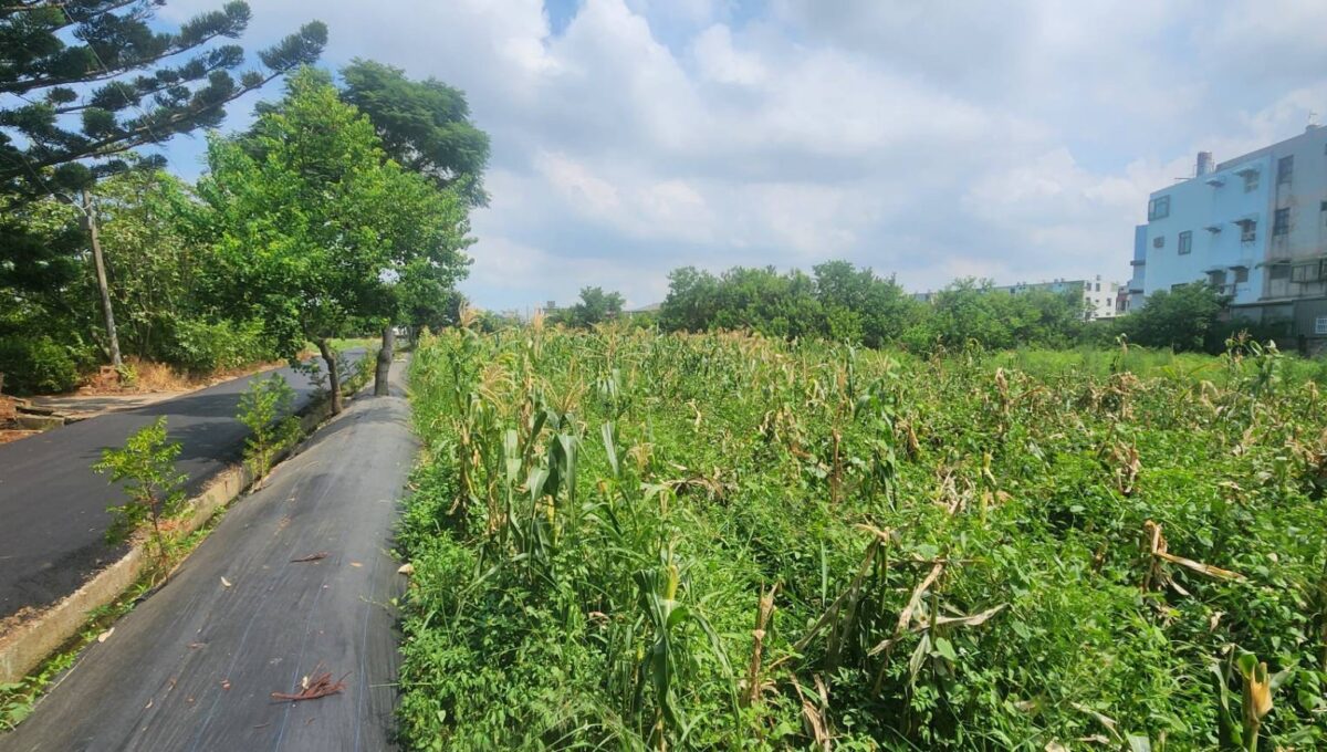 LINE_ALBUM_湖口市區旁合法資材室（c)_250916_2