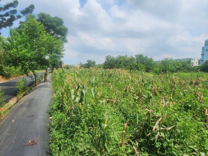 湖口市區旁合法資材室(C)