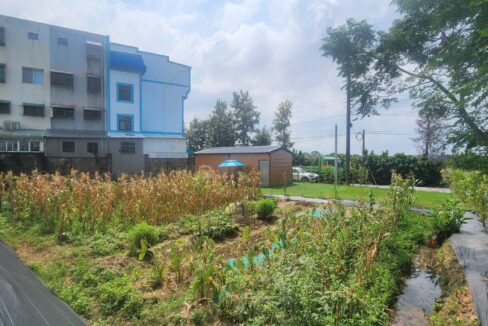 LINE_ALBUM_湖口市區旁合法資材室（c)_250916_6